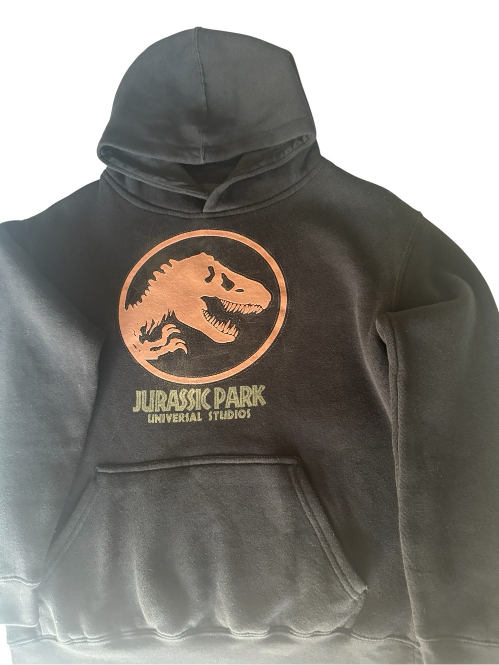 Jurassic Park Universal Studios Black Youth Pullover T Rex Sweatshirt SZ M